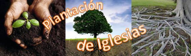 plantacion de iglesias